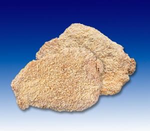 Panierte Schnitzel a.d. Kalbsoberschale